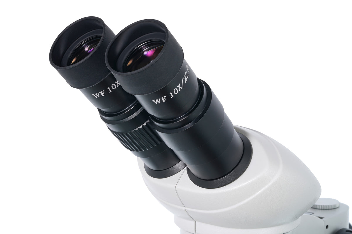 Microscopio binocular Levenhuk 4ST