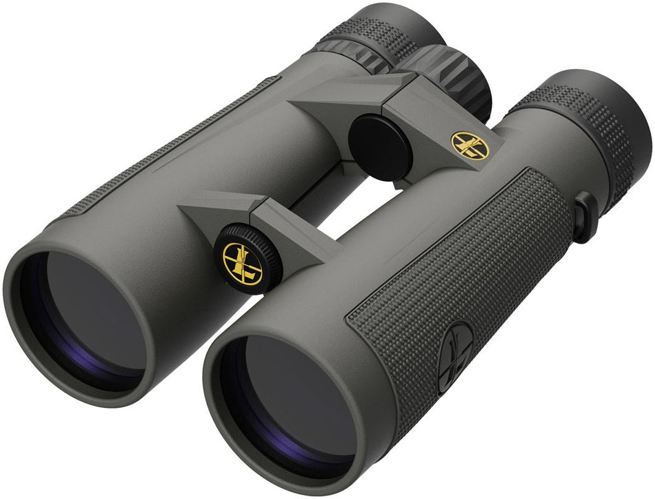 Prismático LEUPOLD BX-5 Santiam HD - 10x50